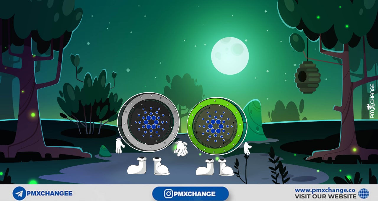 مارکت کپ و سکه درگردش کاردانو CARDANO