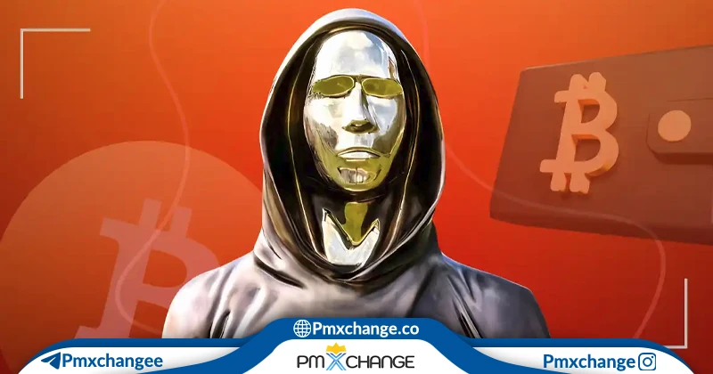 ساتوشی چیست