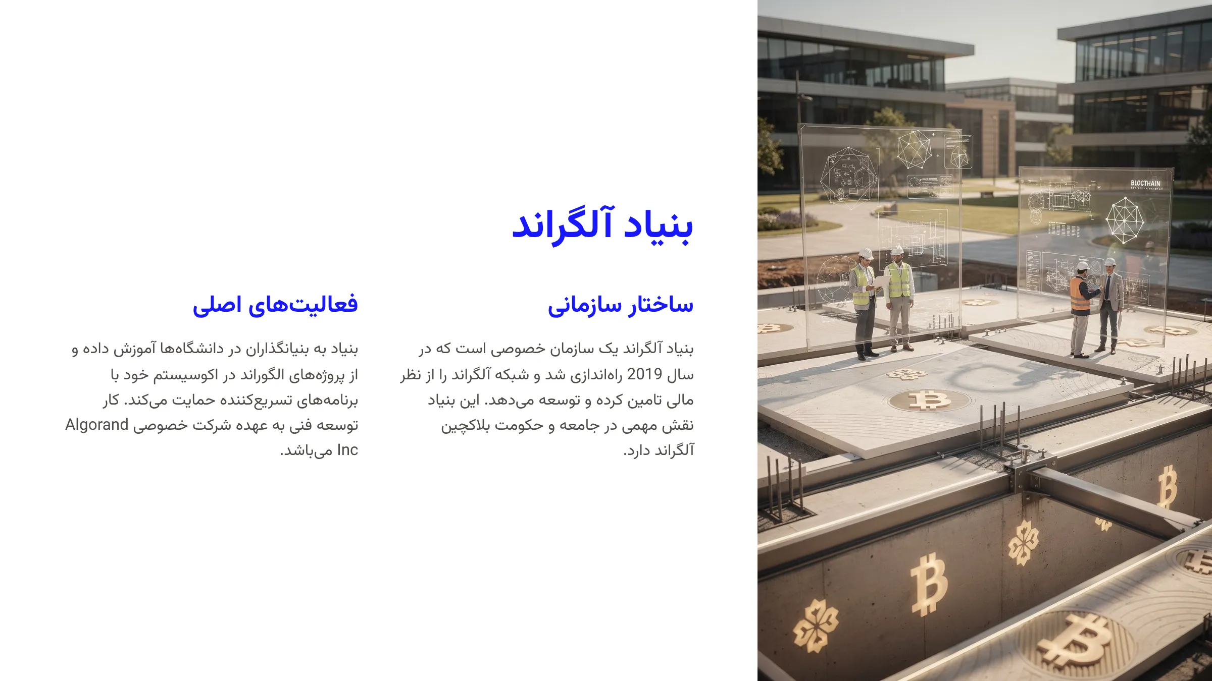 بنیاد آلگراند