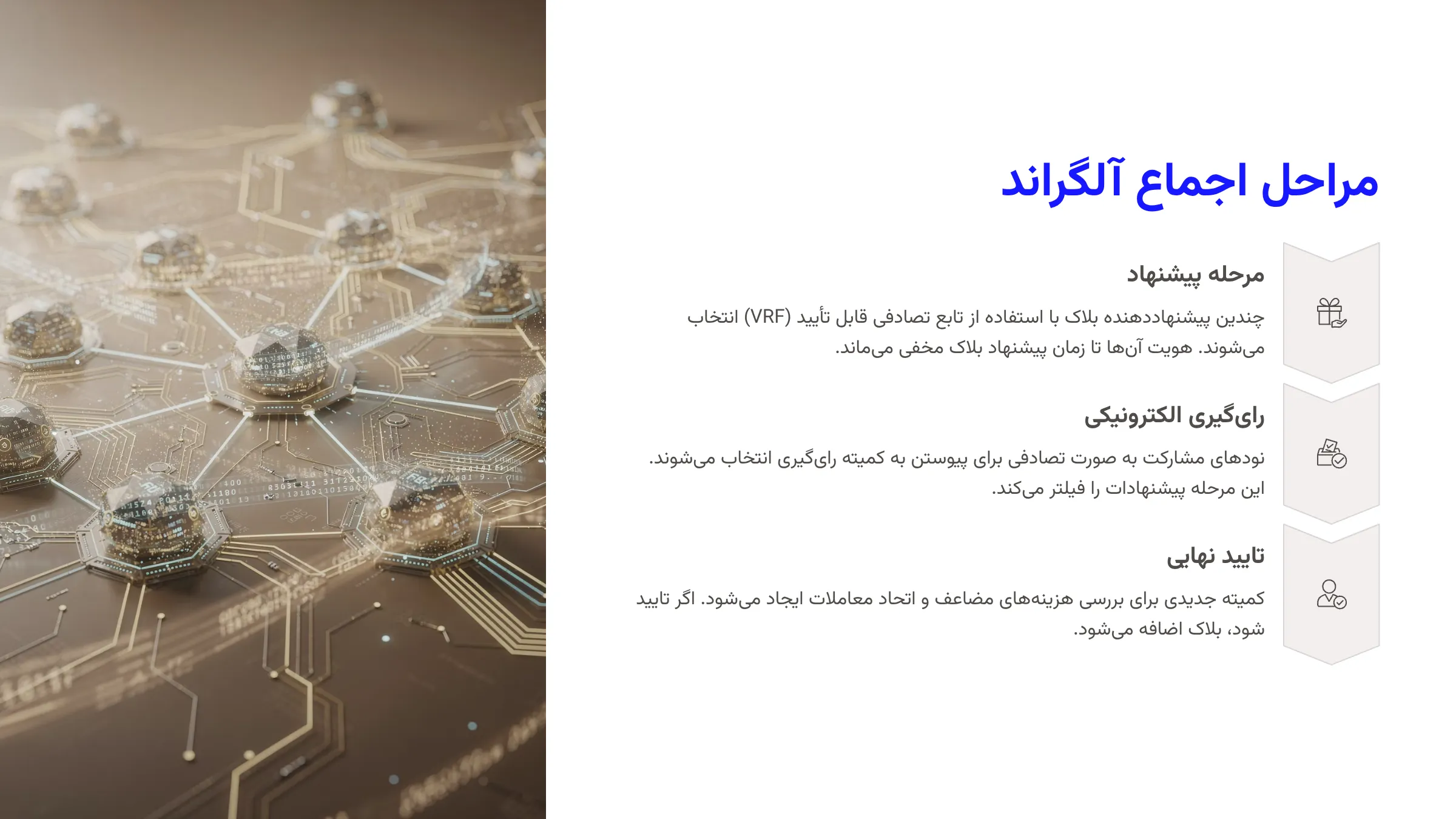 مراحل اجماع آلگراند