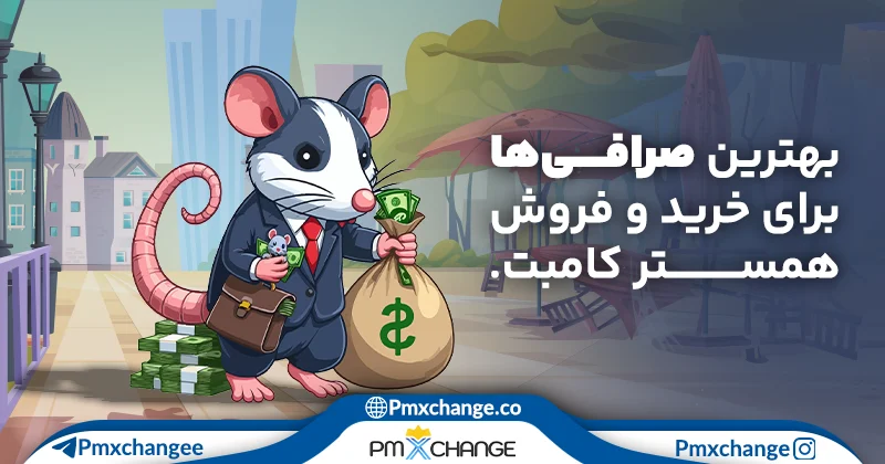 بهترین صرافی داخلی و خارجی همستر کامبت