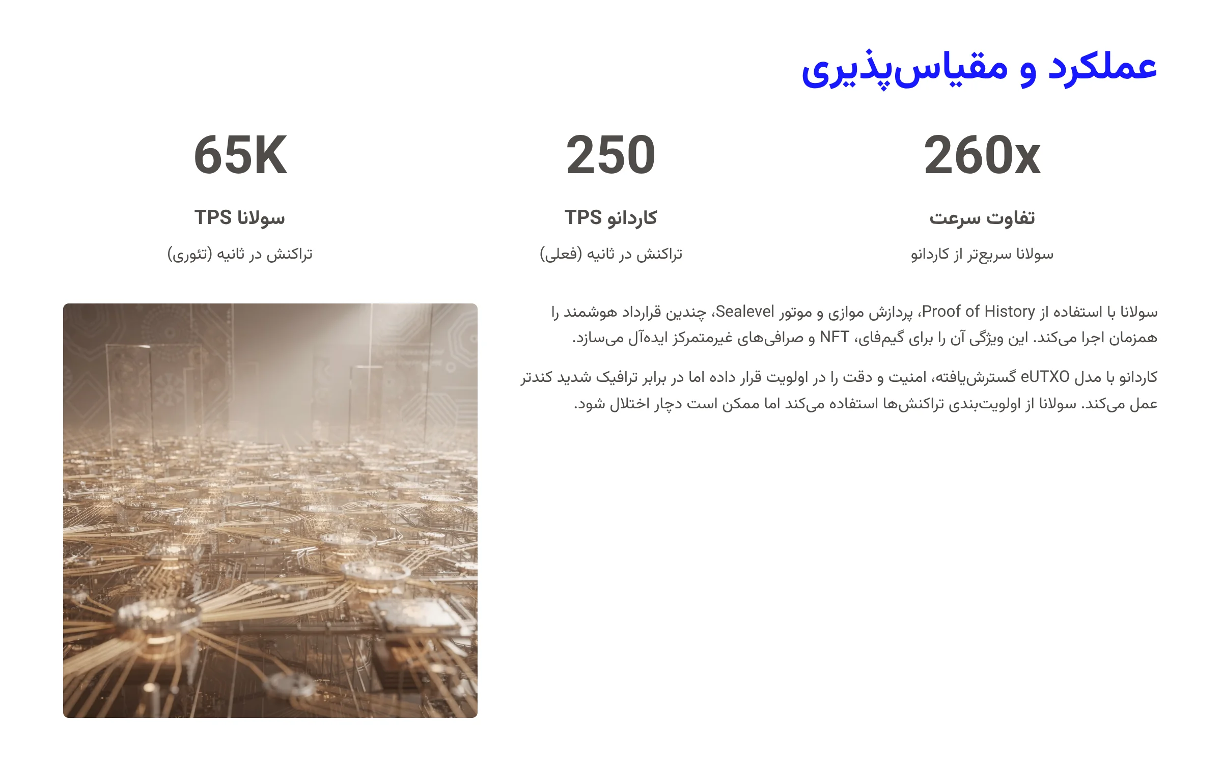 عملکرد و مقیاسپذیری شبکه