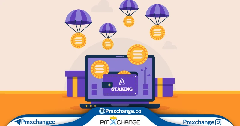 استیک سولانا در اتمیک