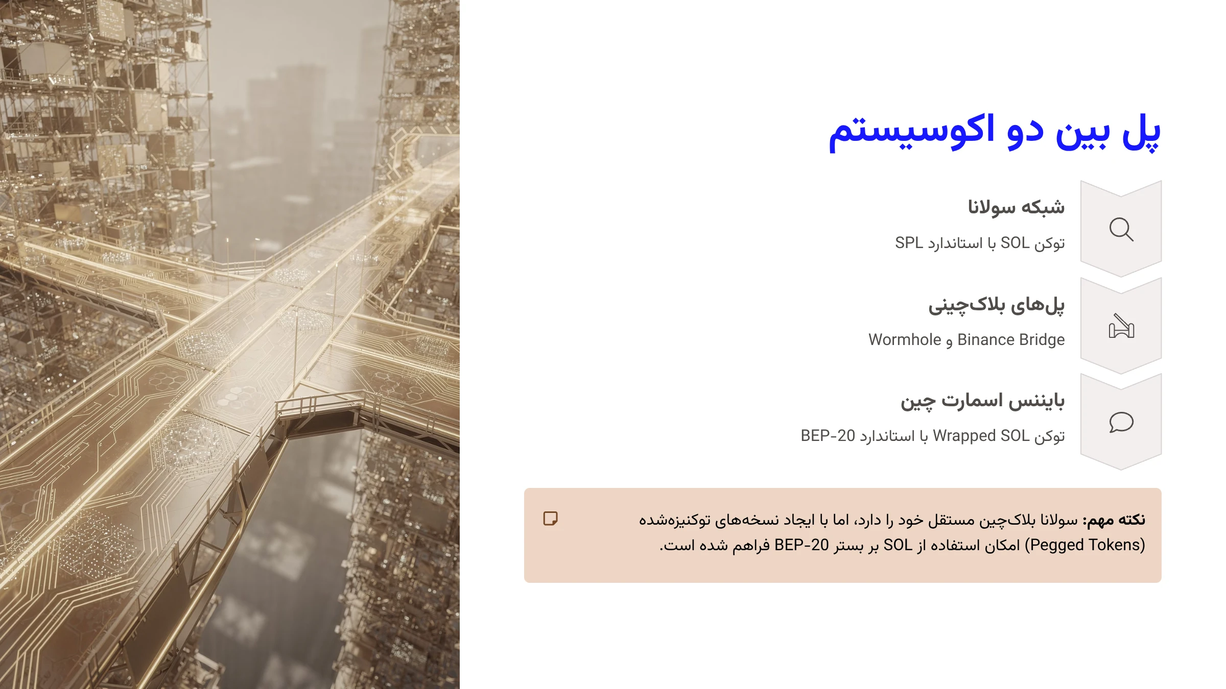 پل بین دو اکوسیستم