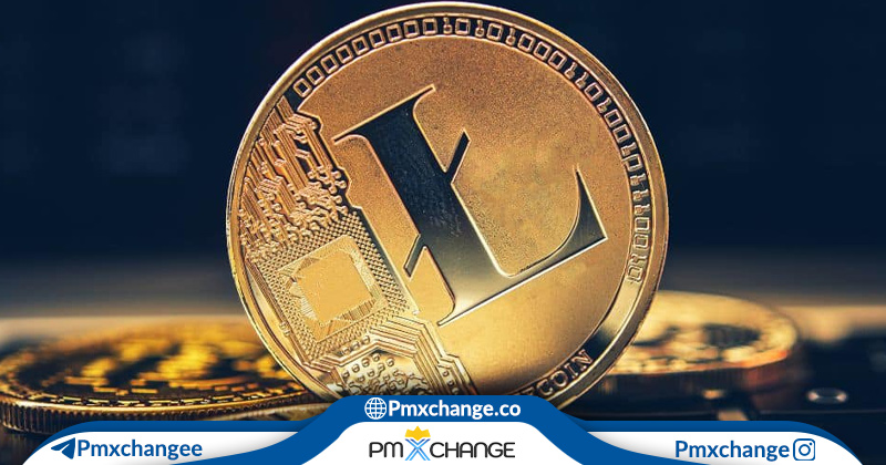 هاوینگ لایت کوین چیست؟