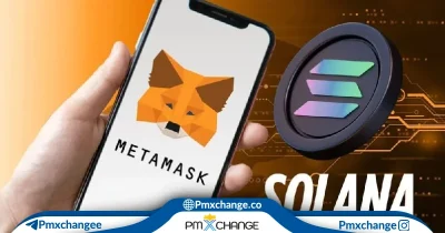 افزودن شبکه سولانا به متامسک