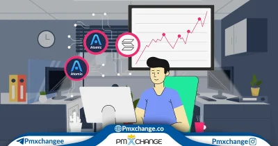 استیک سولانا در اتمیک