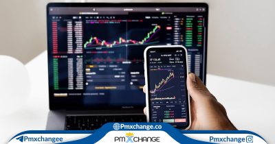 درآمد یک تریدر مبتدی چقدر است؟