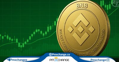 لیست کوین‌های صرافی بایننس