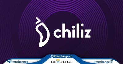 ارز chiliz