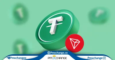 تبدیل تتر TRC20 به ترون در تراست ولت: راهنمای جامع و گام‌به‌گام