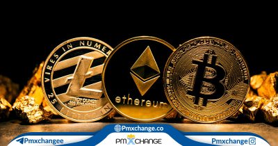 بهترین سایت سرمایه گذاری دنیای کریپتو