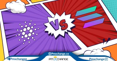 سولانا بهتر است یا کاردانو