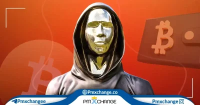 ساتوشی چیست