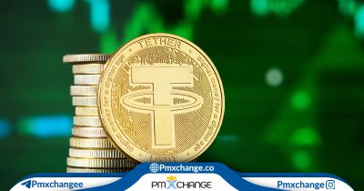 فریز شدن تتر یعنی چه؟ بررسی علل، پیامدها و راهکارهای پیشگیری