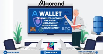 معرفی کیف پول های آلگورند Algorand