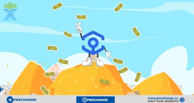 ارز آنکر ANKR چیست و چگونه کار می کند؟