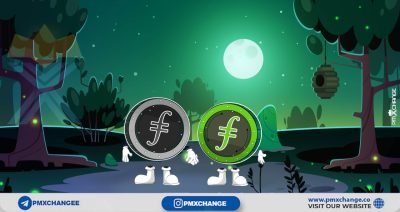 مارکت کپ و سکه در گردش فایل کوین FILCOIN